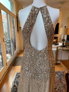 Adrianna Papell Champagne-Beige Evening Dress Label Detail